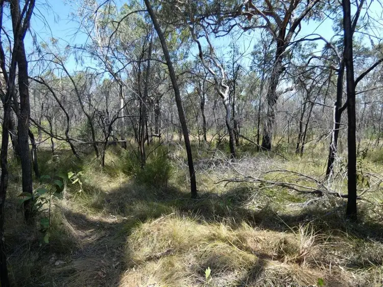 Fifth view of Homely rural property listing, 641 Capricornia Drive, Deepwater QLD 4674