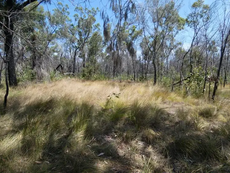 Sixth view of Homely rural property listing, 641 Capricornia Drive, Deepwater QLD 4674