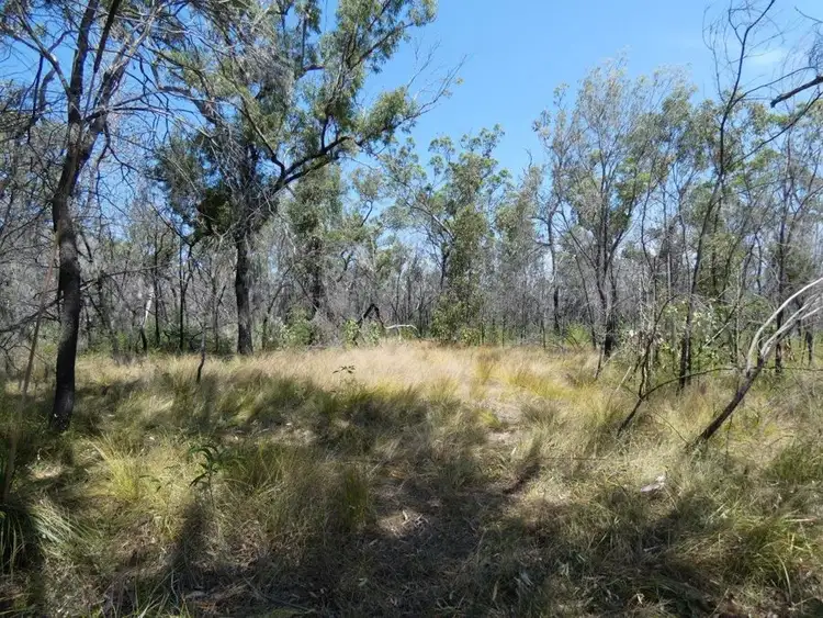 Seventh view of Homely rural property listing, 641 Capricornia Drive, Deepwater QLD 4674