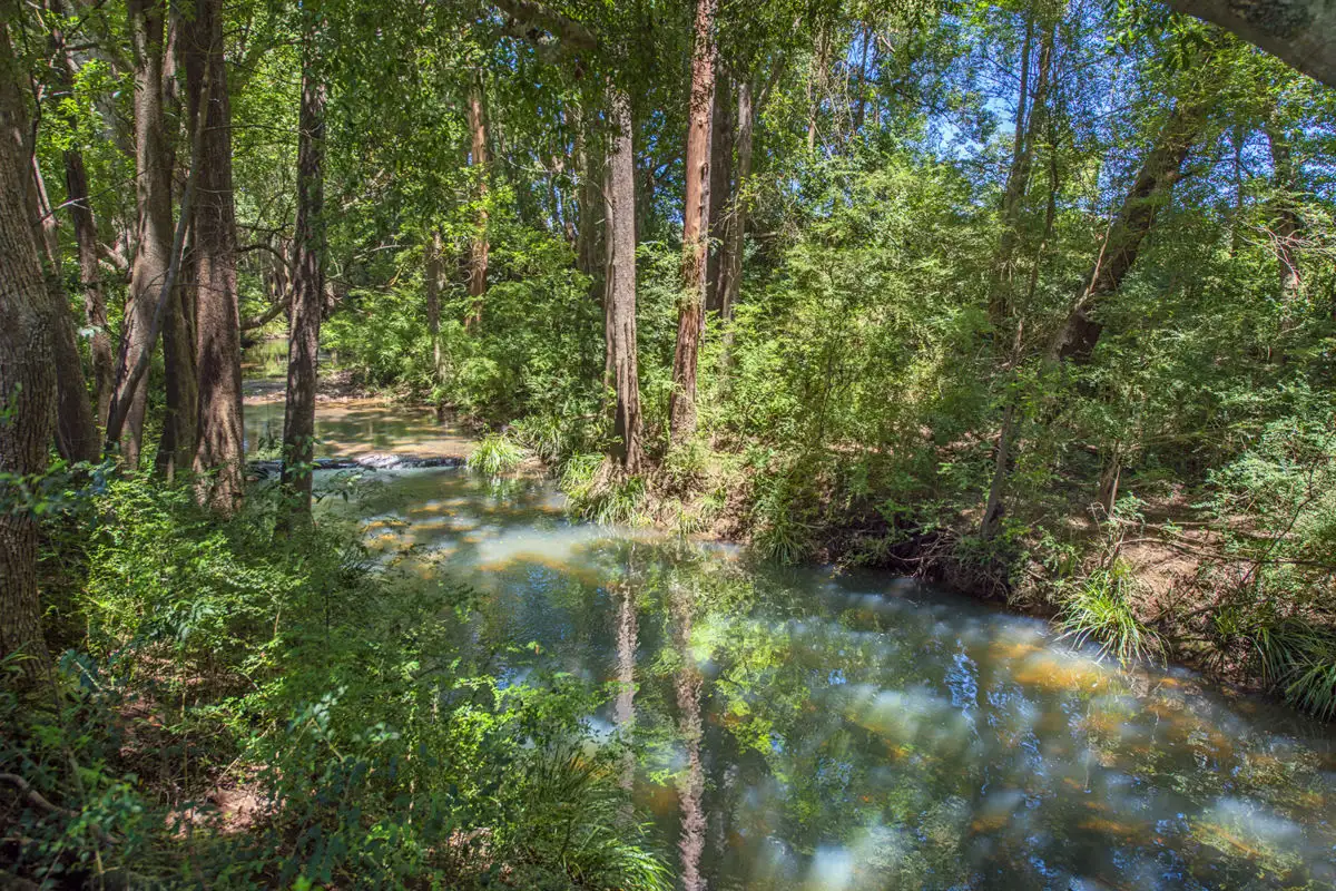 Main view of Homely house listing, 999 Orara Way, Nana Glen NSW 2450