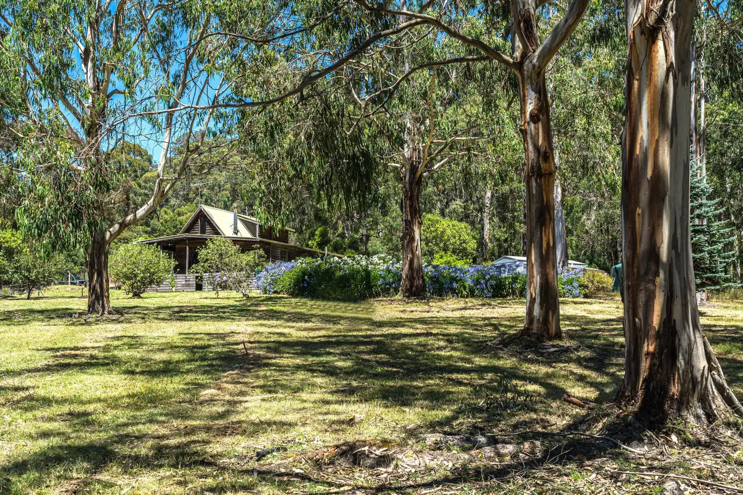 Main view of Homely rural property listing, 70 Aroona Court, Forrest VIC 3236