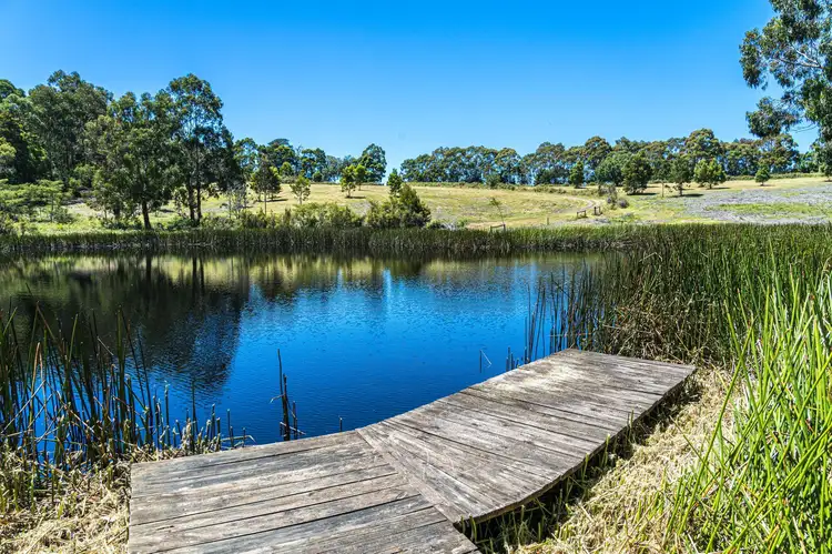Third view of Homely rural property listing, 70 Aroona Court, Forrest VIC 3236
