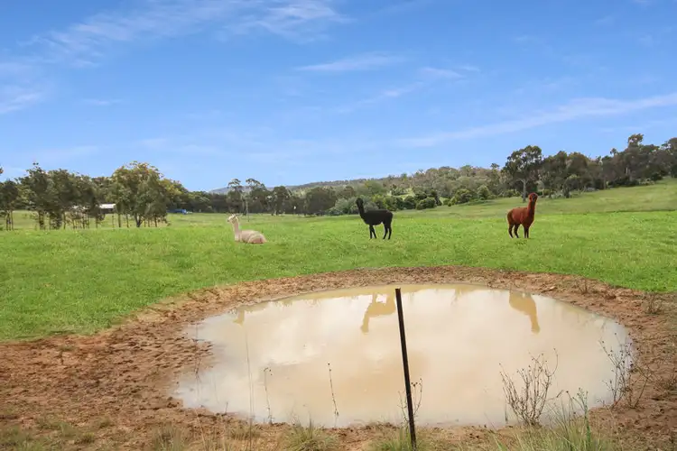 Third view of Homely land listing, Lot 4 Leechs Gully, Tenterfield NSW 2372