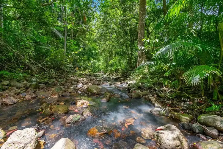 1418 Main Arm Rd, Upper Main Arm NSW 2482