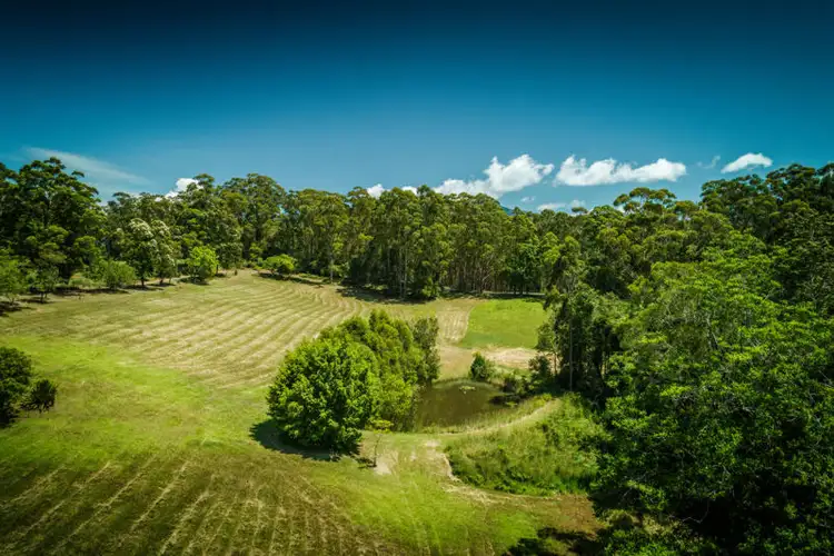 Fourth view of Homely rural property listing, 17 Briggenshaws Road Valery, Bellingen NSW 2454