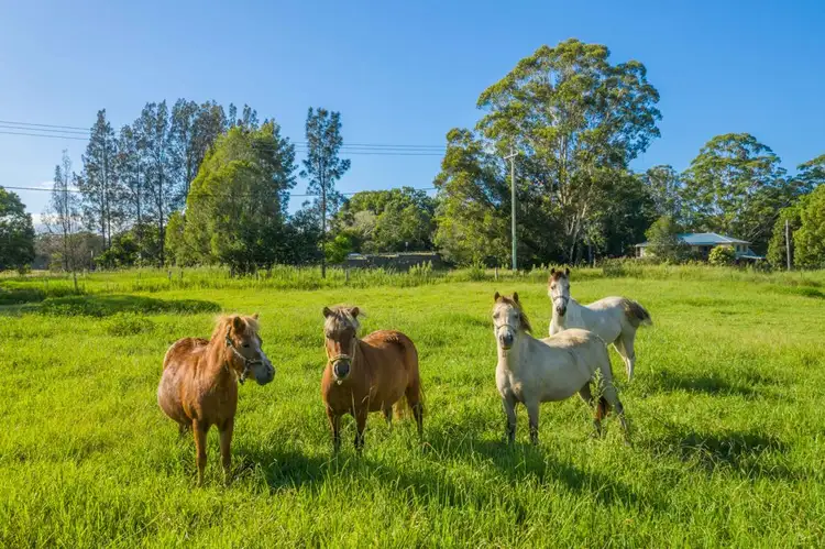 41 kendall rd, Kendall NSW 2439