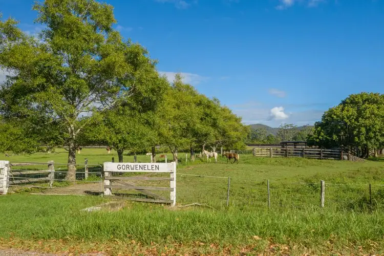 Second view of Homely rural property listing, 41 kendall rd, Kendall NSW 2439