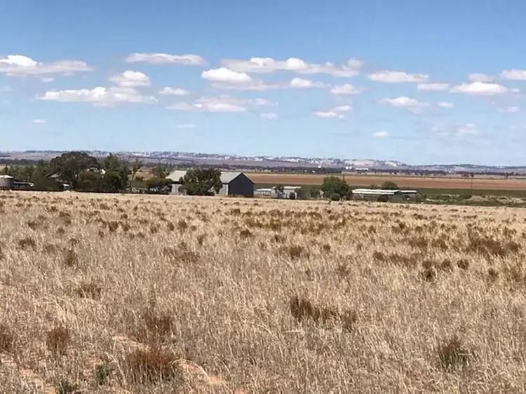 Third view of Homely rural property listing, Lot 2 Burnsfield Road, Snowtown SA 5520