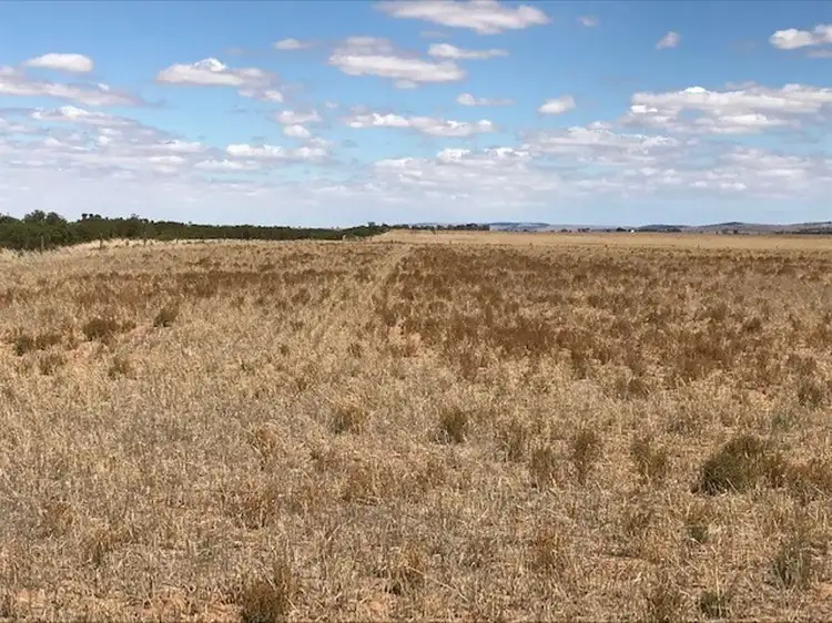 Fourth view of Homely rural property listing, Lot 2 Burnsfield Road, Snowtown SA 5520