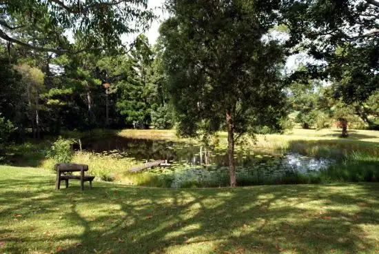 Sixth view of Homely rural property listing, 1247 Eastbank Road, Nana Glen NSW 2450