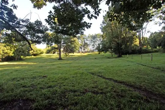 Seventh view of Homely rural property listing, 1247 Eastbank Road, Nana Glen NSW 2450