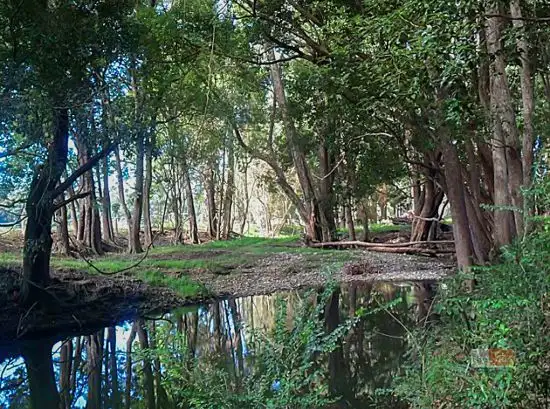 Second view of Homely land listing, Lot 2 Lachlan Dew Close (off Brewers Road), Nana Glen NSW 2450