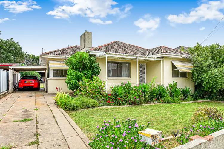 48 David Street, Tamworth NSW 2340