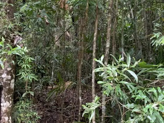 Sixth view of Homely land listing, Lot 96 Greendale Court, Jubilee Heights QLD 4860