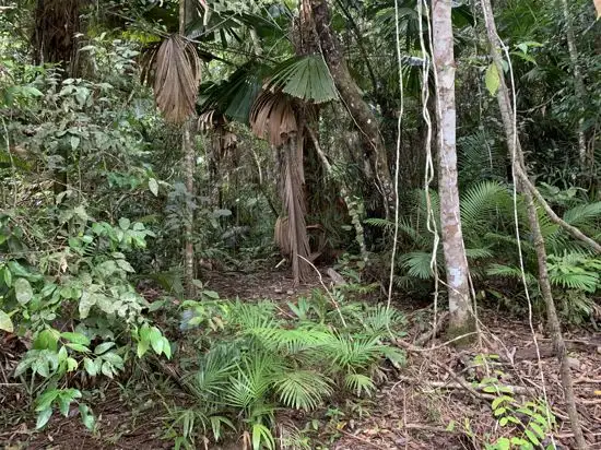 Seventh view of Homely land listing, Lot 96 Greendale Court, Jubilee Heights QLD 4860