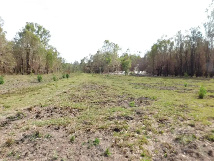 Second view of Homely rural property listing, Lot 113 & 120 Moonem New Italy Road, New Italy NSW 2472