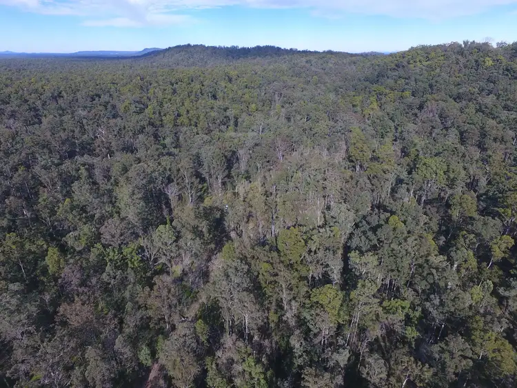 Fourth view of Homely rural property listing, Lot 113 & 120 Moonem New Italy Road, New Italy NSW 2472