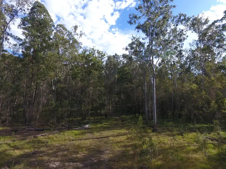 Fifth view of Homely rural property listing, Lot 113 & 120 Moonem New Italy Road, New Italy NSW 2472