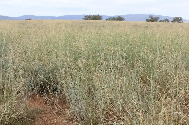 Third view of Homely rural property listing, "Horton Valley" Aggregation, Upper Horton NSW 2347