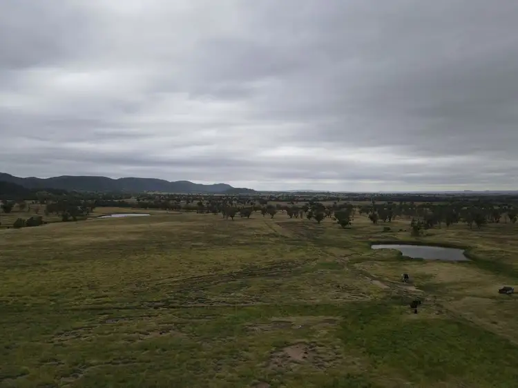Fourth view of Homely rural property listing, "Horton Valley" Aggregation, Upper Horton NSW 2347