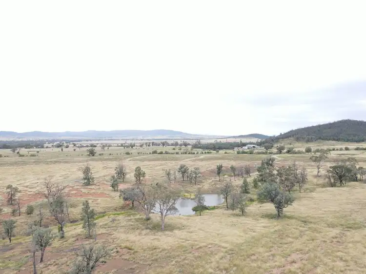 Seventh view of Homely rural property listing, "Horton Valley" Aggregation, Upper Horton NSW 2347