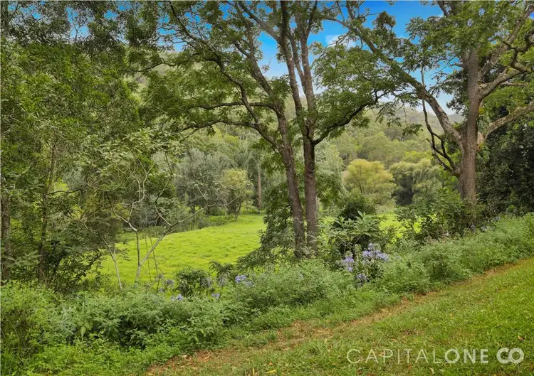 Sixth view of Homely rural property listing, 321 Bunning Creek Road, Yarramalong NSW 2259
