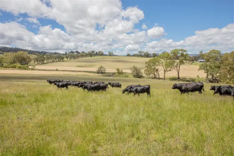 Fourth view of Homely rural property listing, 200 Scotts Gully Road, Tenterfield NSW 2372