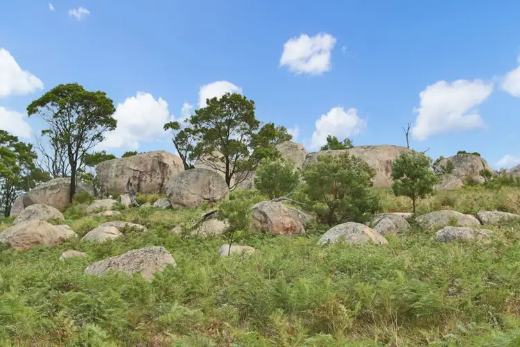 Fourth view of Homely rural property listing, 146 Kildare Road, Tenterfield NSW 2372