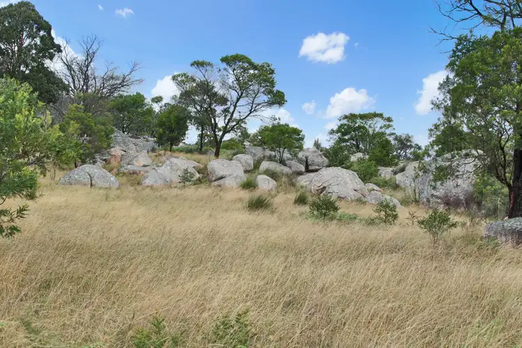 Seventh view of Homely rural property listing, 146 Kildare Road, Tenterfield NSW 2372
