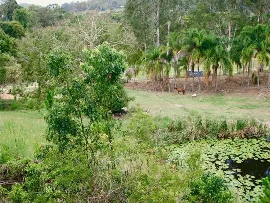 Second view of Homely house listing, 45 Green Valley Way, Piggabeen NSW 2486