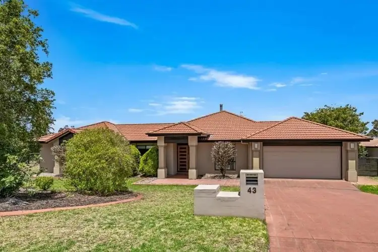 Main view of Homely house listing, 43 Palmer Drive, Highfields QLD 4352
