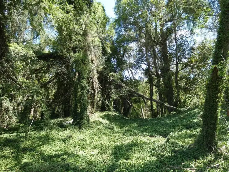 Seventh view of Homely rural property listing, 3183 Lowmead Road, Lowmead QLD 4676