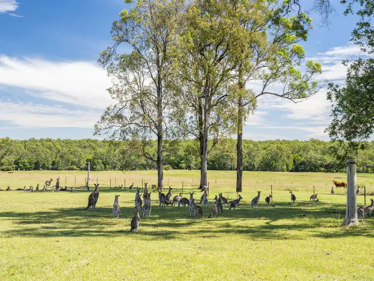 Second view of Homely house listing, 140 Browns Road, Halfway Creek NSW 2460