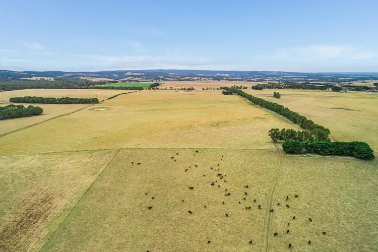 Fourth view of Homely land listing, 120 Rifle Butts Road, Deans Marsh VIC 3235