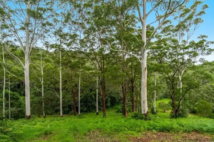 Second view of Homely rural property listing, 150 Cudgera Creek Rd, Burringbar NSW 2483