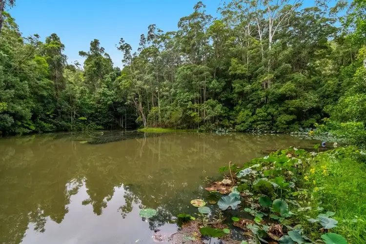 Seventh view of Homely rural property listing, 150 Cudgera Creek Rd, Burringbar NSW 2483