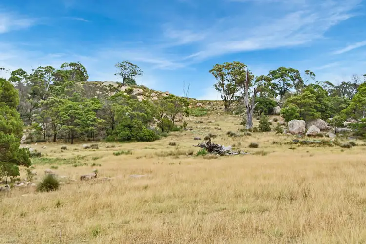 Fourth view of Homely house listing, 189 Kildare Road, Tenterfield NSW 2372