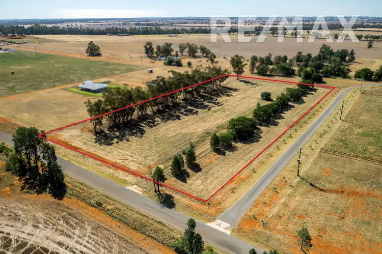 89 Campbells Lane, Coolamon NSW 2701