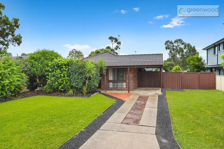 13 Chifley Place, Bligh Park NSW 2756