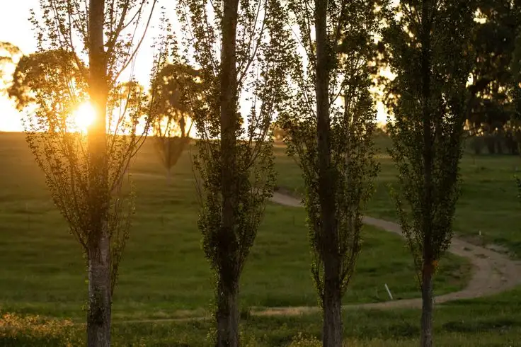 Fifth view of Homely land listing, Lot 217 Sandon Park, Armidale NSW 2350