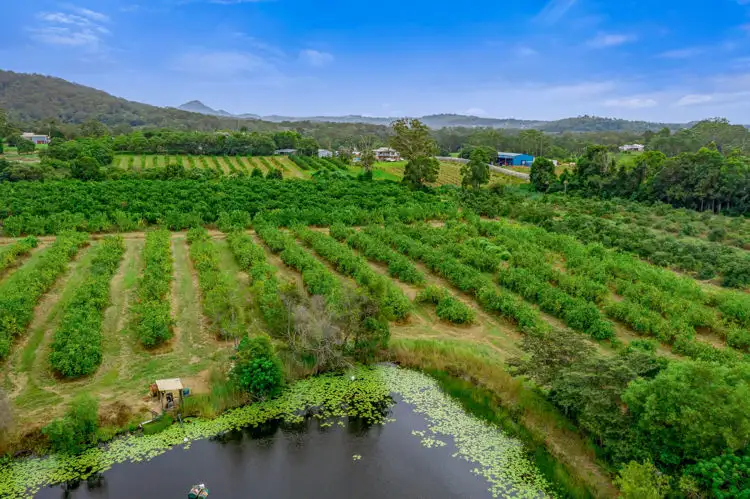 Second view of Homely rural property listing, 68 Kromes Road, North Arm QLD 4561