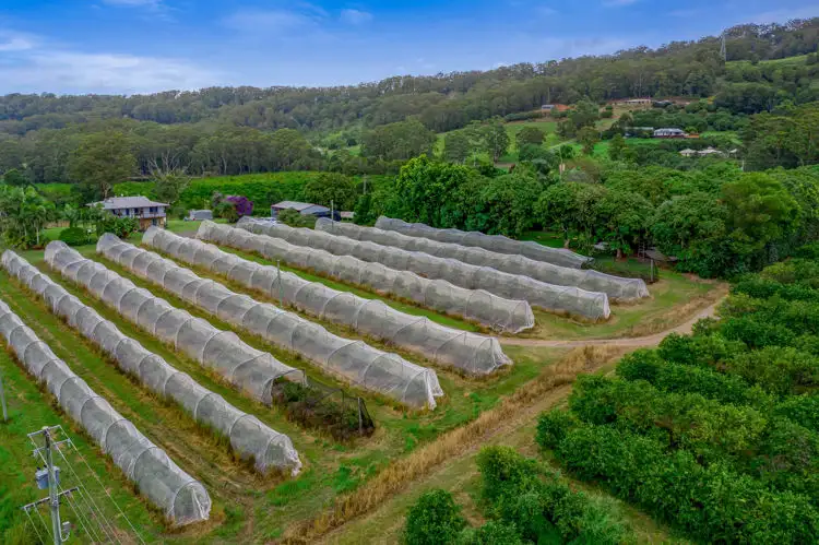 Fifth view of Homely rural property listing, 68 Kromes Road, North Arm QLD 4561