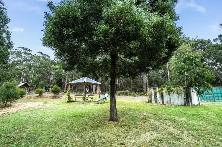 Fourth view of Homely rural property listing, 2040 Birregurra-Forrest Road, Forrest VIC 3236