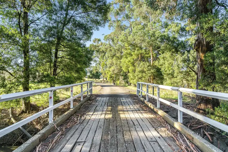 Second view of Homely rural property listing, 22 McIntyres Road, Kennedys Creek VIC 3239