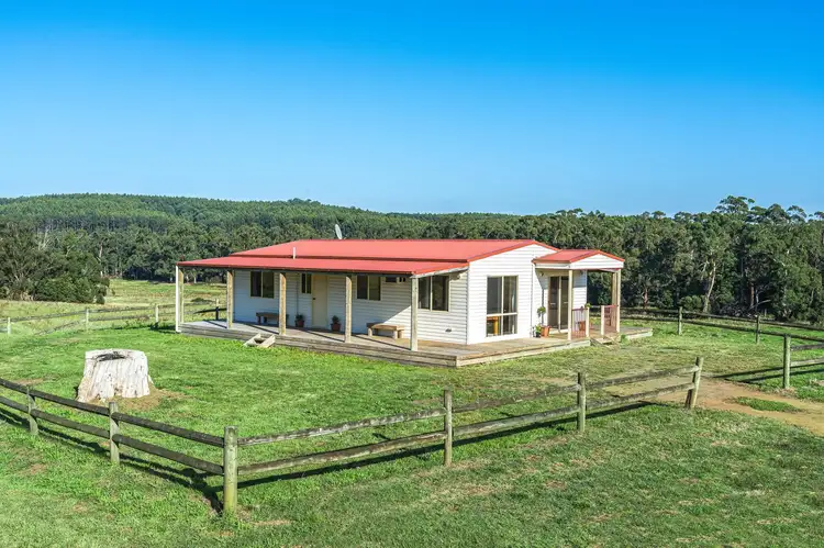 Fifth view of Homely rural property listing, 22 McIntyres Road, Kennedys Creek VIC 3239