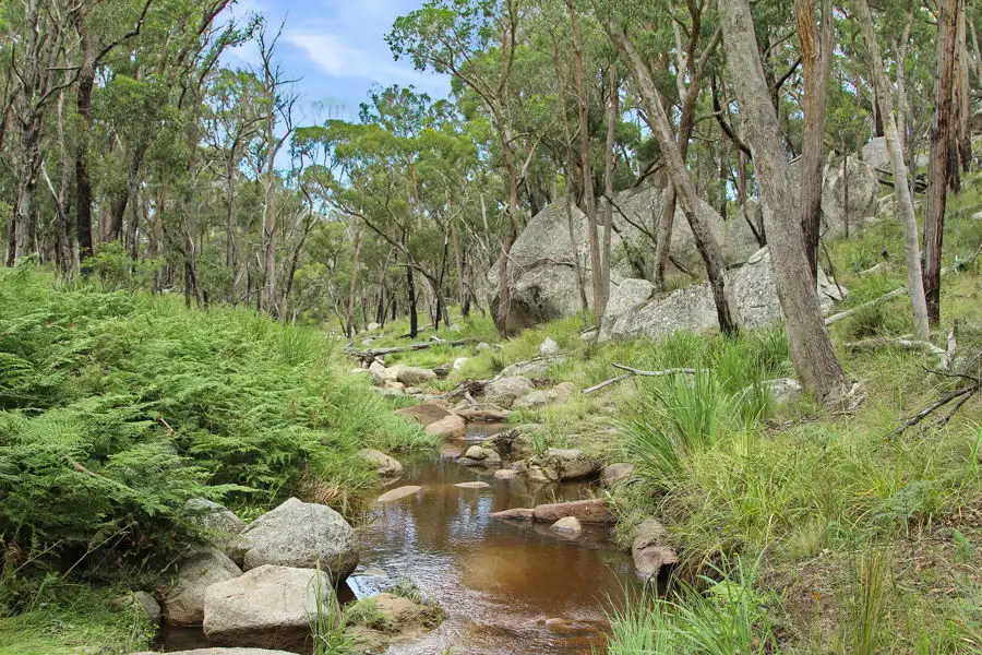 Main view of Homely rural property listing, 1214 Mt McKenzie Road, Tenterfield NSW 2372