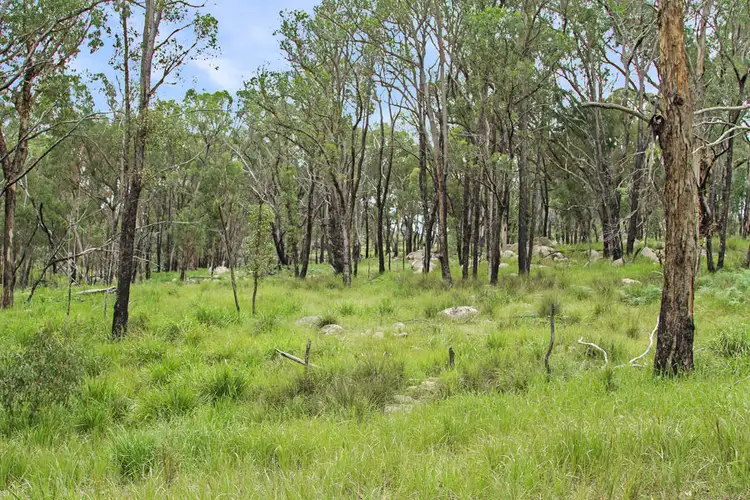 Third view of Homely rural property listing, 1214 Mt McKenzie Road, Tenterfield NSW 2372