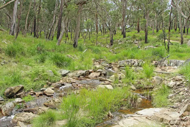Fourth view of Homely rural property listing, 1214 Mt McKenzie Road, Tenterfield NSW 2372