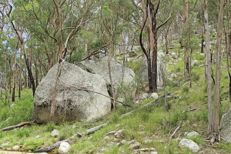 Fifth view of Homely rural property listing, 1214 Mt McKenzie Road, Tenterfield NSW 2372