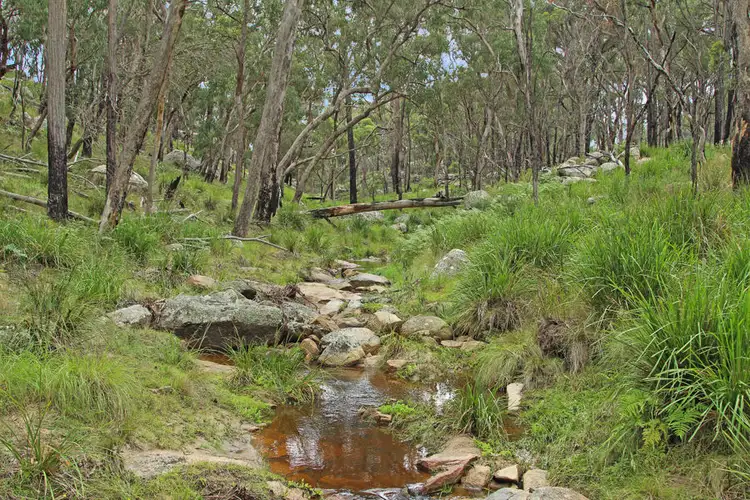 Sixth view of Homely rural property listing, 1214 Mt McKenzie Road, Tenterfield NSW 2372